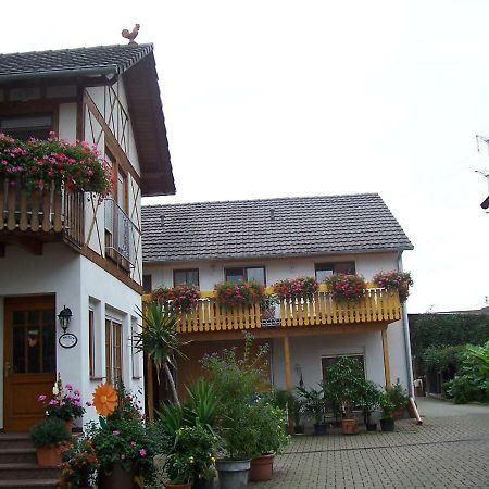 Meyerhof Apartamento Wittenweier Exterior foto