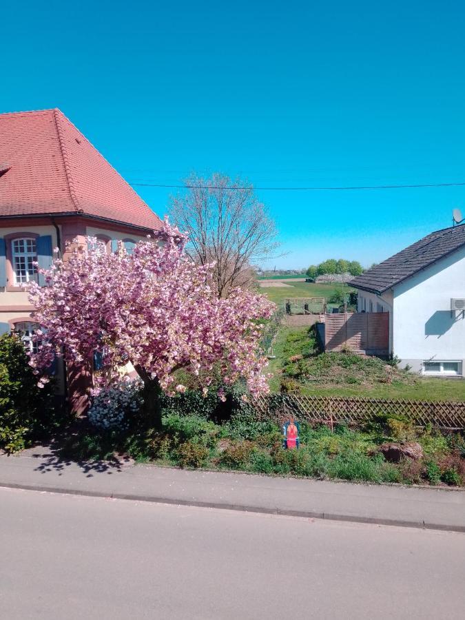 Meyerhof Apartamento Wittenweier Exterior foto