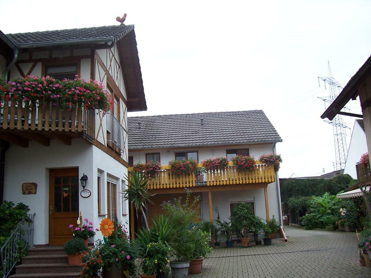 Meyerhof Apartamento Wittenweier Exterior foto
